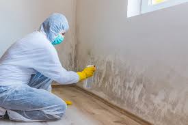 Best Forensic Mold Investigation in East Islip, NY