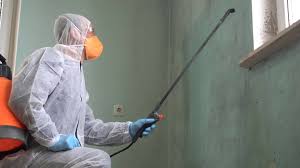 Best Mold Prevention Services in East Islip, NY