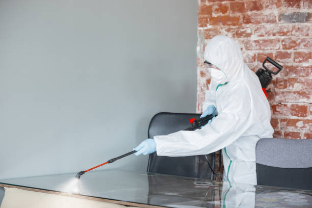 Best Comprehensive Air Testing for Mold Contaminants in East Islip, NY